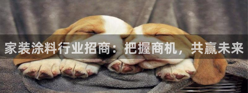 和记ag登录：家装涂料行业招商：把握商机，共赢未来