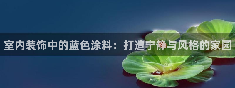 和记国际听