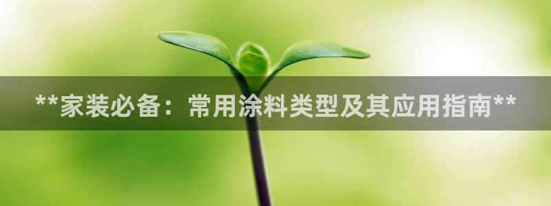 和记平台：**家装必备：常用涂料类型及其应用指南**