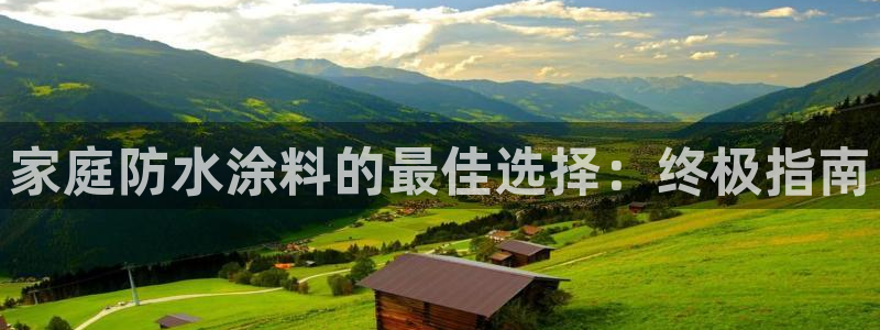 和记h8：家庭防水涂料的最佳选择：终极指南