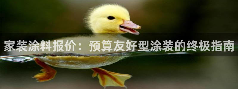 和记官网：家装涂料报价：预算友好型涂装的终极指南