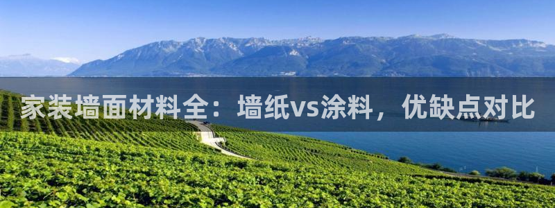 上海和记餐饮有限公司：家装墙面材料全：墙纸vs涂料，优缺点对比