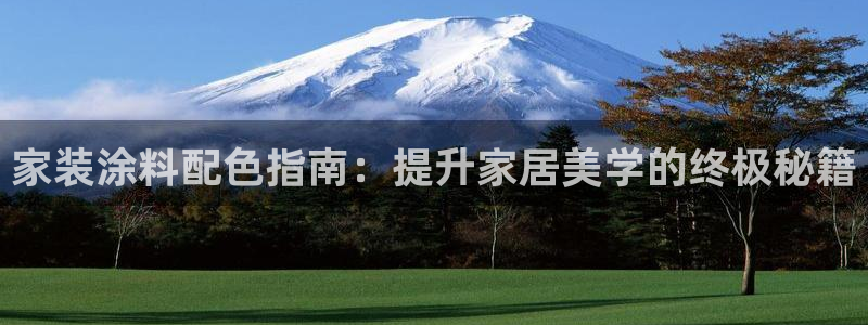 和记Ag：家装涂料配色指南：提升家居美学的终极秘籍