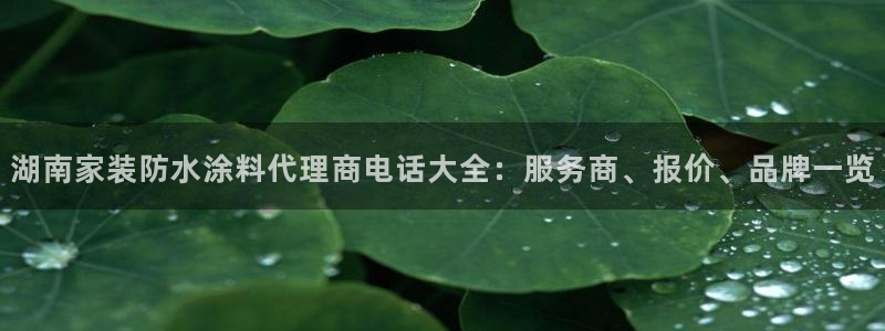 和记官方直营