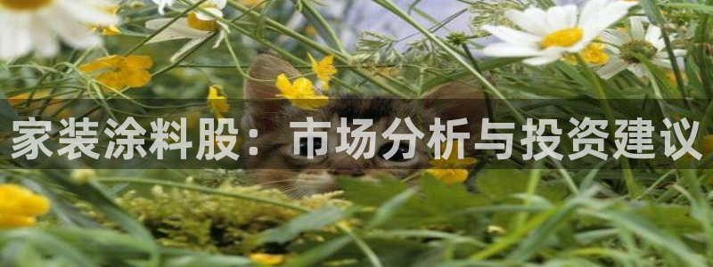 和记ag旗舰国际