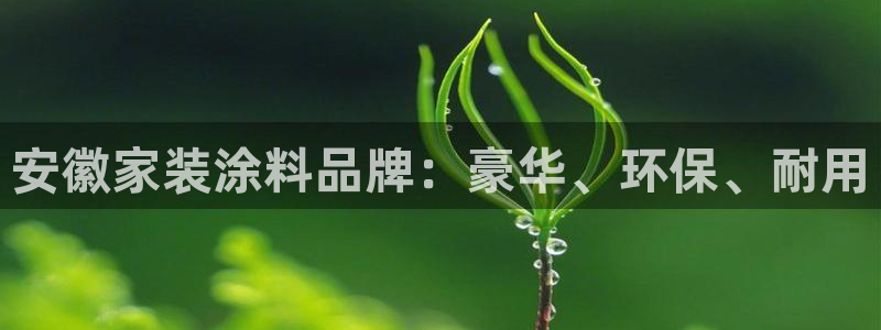 和记平台官方网：安徽家装涂料品牌：豪华、环保、耐用