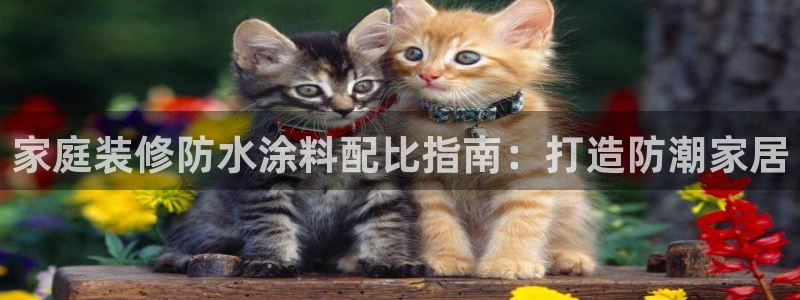 和记ag旗舰
