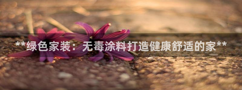 和记5g电讯