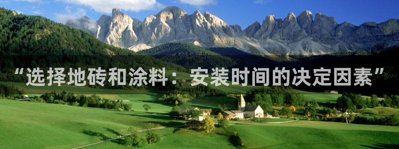 和记港口：“选择地砖和涂料：安装时间的决定因素”