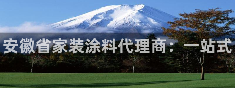 和记 首页：安徽省家装涂料代理商：一站式