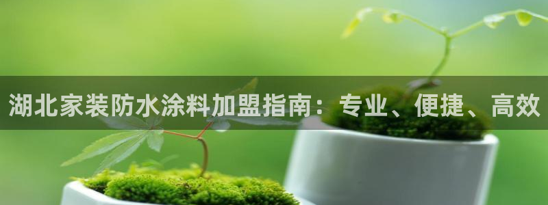 和记2017app：湖北家装防水涂料加盟指南：专业、便捷、高效