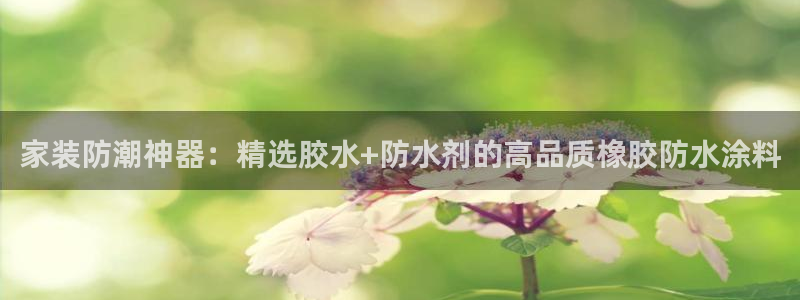 和记h8：家装防潮神器：精选胶水+防水剂的高品质橡胶防水涂料