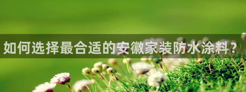 和记h88游戏：如何选择最合适的安徽家装防水涂料？