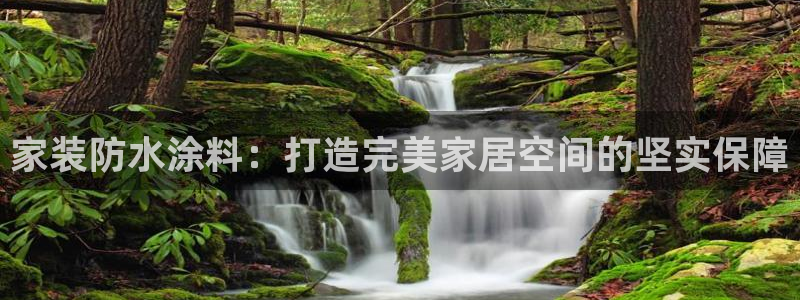 和记官网登录：家装防水涂料：打造完美家居空间的坚实保障