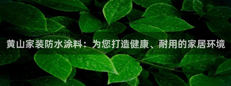 上海和记餐饮：黄山家装防水涂料：为您打造健康、耐用的家居环境