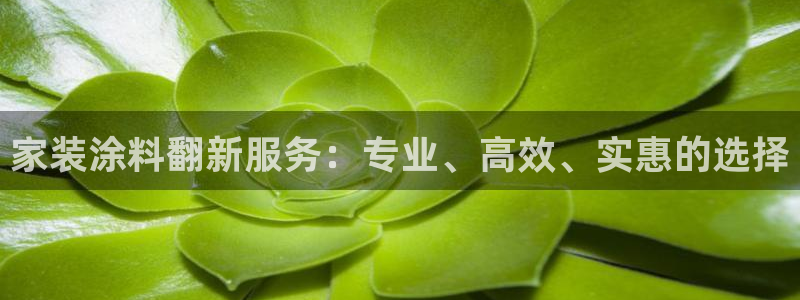 和记ag登录：家装涂料翻新服务：专业、高效、实惠的选择