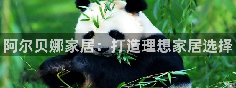 和记ag旗舰厅app：阿尔贝娜家居：打造理想家居选择