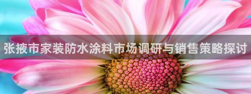 深圳和记科技有限公司：张掖市家装防水涂料市场调研与销售策略探讨