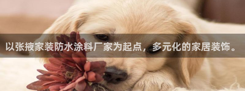 和记登陆：以张掖家装防水涂料厂家为起点，多元化的家居装饰。