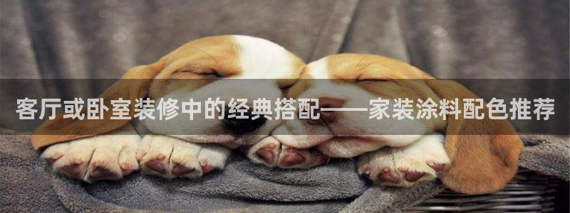 和记官网 公司