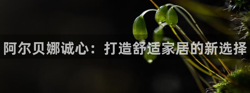 和记官网官方网站：阿尔贝娜诚心：打造舒适家居的新选择