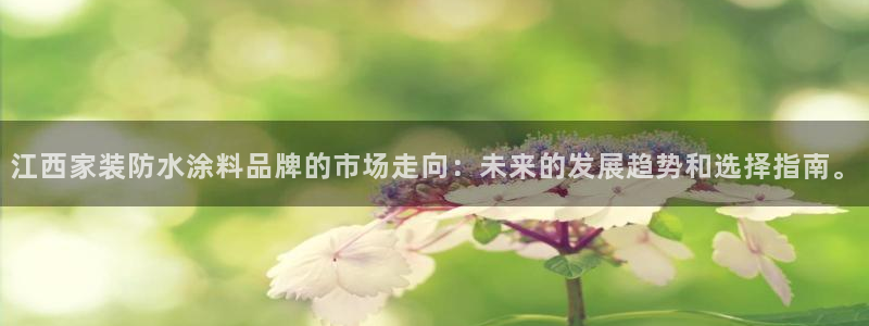 和记h88游戏：江西家装防水涂料品牌的市场走向：未来的发展趋