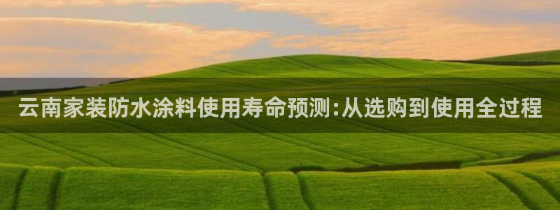 和记h88游戏：云南家装防水涂料使用寿命预测:从选购到使用全