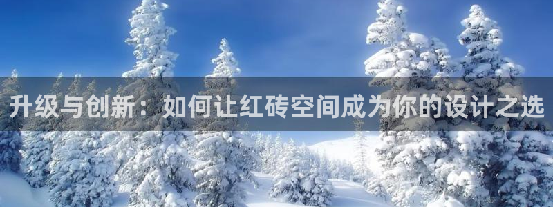 和记国际听