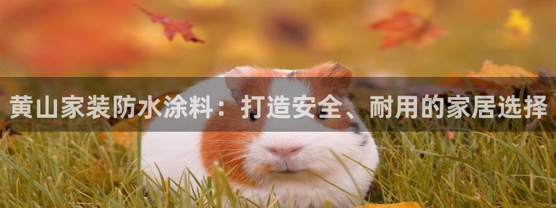 和记下载：黄山家装防水涂料：打造安全、耐用的家居选择