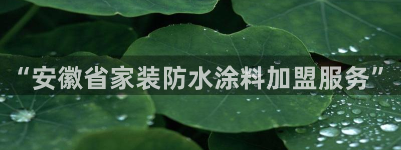 和记AG网站