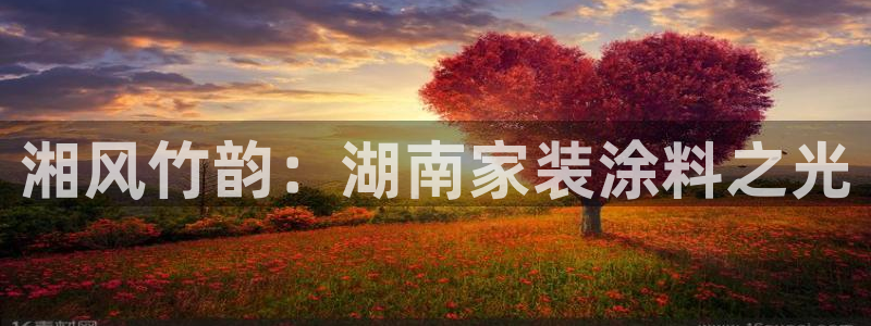 和记国际