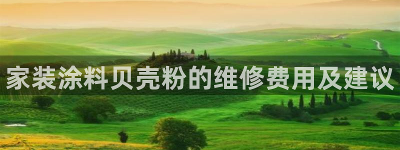 江苏和记数码科技有限公司：家装涂料贝壳粉的维修费用及建议