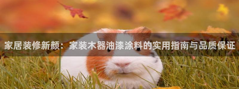 和记国际听：家居装修新颜：家装木器油漆涂料的实用指南与品质保