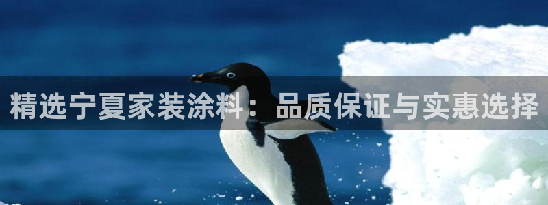 和记官网：精选宁夏家装涂料：品质保证与实惠选择