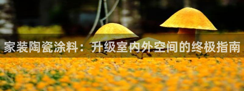 和记国际：家装陶瓷涂料：升级室内外空间的终极指南