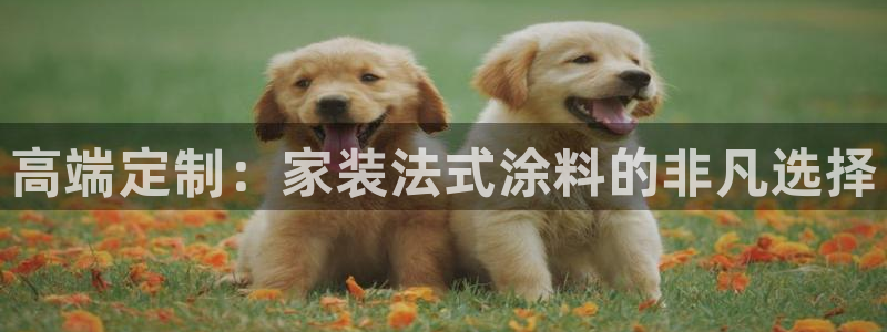 和记AG旗舰：高端定制：家装法式涂料的非凡选择