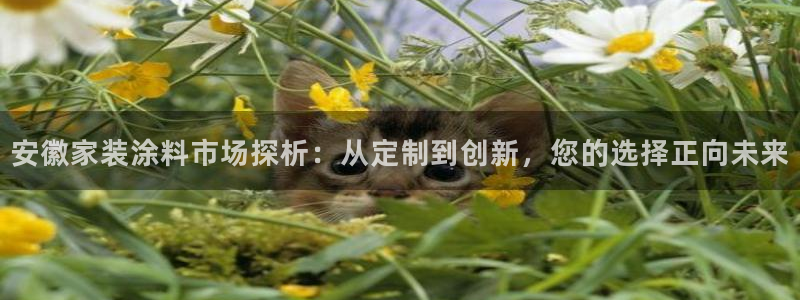 和记国际：安徽家装涂料市场探析：从定制到创新，您的选择正向未来