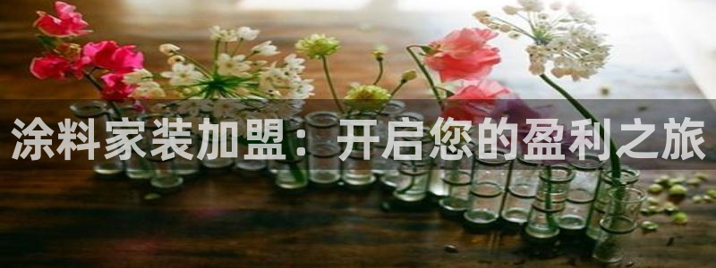 和记官方直营注册：涂料家装加盟：开启您的盈利之旅