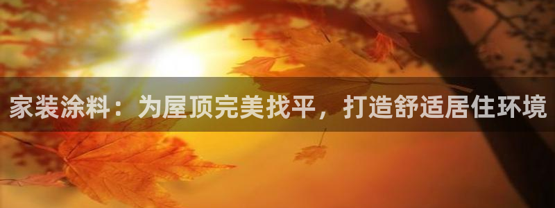 和记h8：家装涂料：为屋顶完美找平，打造舒适居住环境