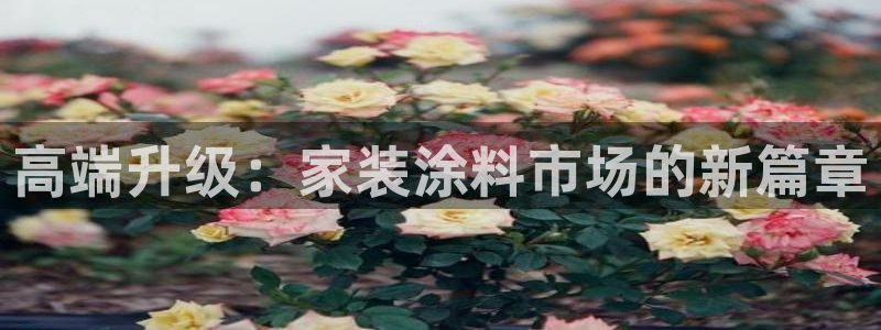 江苏和记餐饮有限公司：高端升级：家装涂料市场的新篇章