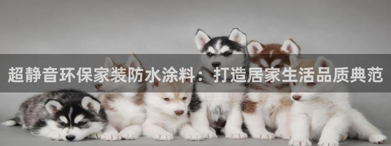 和记国际电讯市值：超静音环保家装防水涂料：打造居家生活品质典