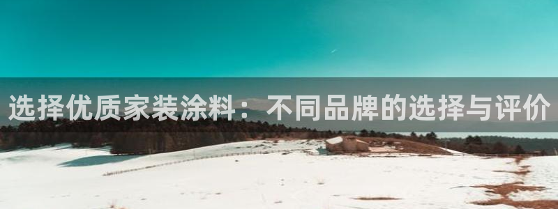 和记ag网页版：选择优质家装涂料：不同品牌的选择与评价