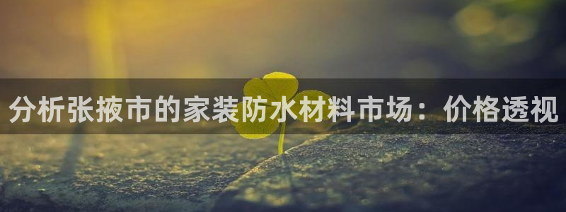 和记国际开户：分析张掖市的家装防水材料市场：价格透视