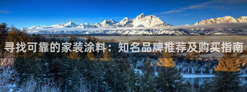 和记官网首页：寻找可靠的家装涂料：知名品牌推荐及购买指南