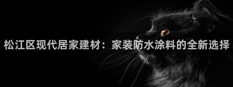 和记平台注册：松江区现代居家建材：家装防水涂料的全新选择