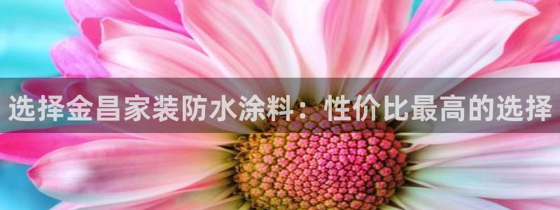 和记平台：选择金昌家装防水涂料：性价比最高的选择