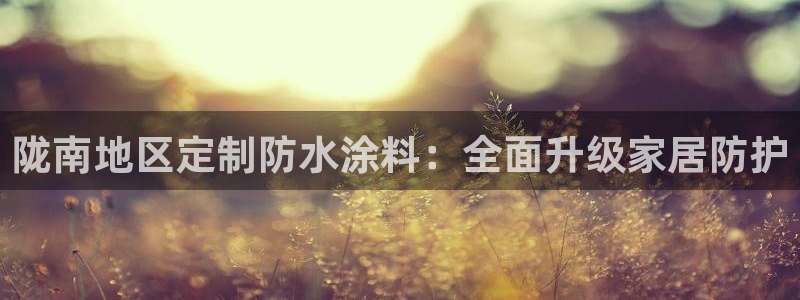 和记 中国官网：陇南地区定制防水涂料：全面升级家居防护