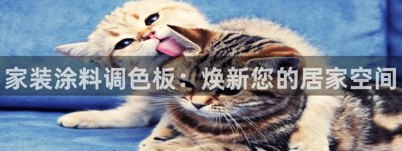 和记AG：家装涂料调色板：焕新您的居家空间