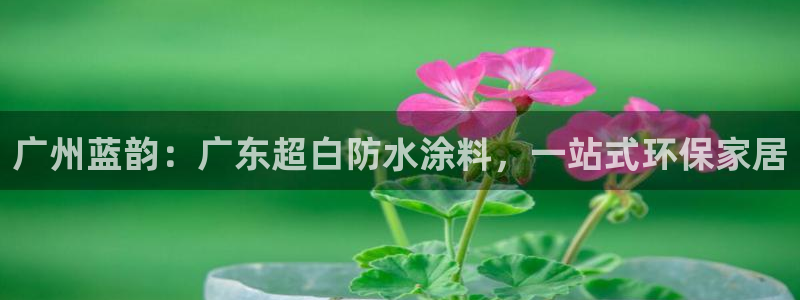 下载和记app：广州蓝韵：广东超白防水涂料，一站式环保家居