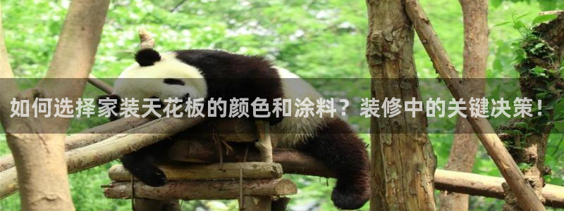 和记AG旗舰：如何选择家装天花板的颜色和涂料？装修中的关键决策！